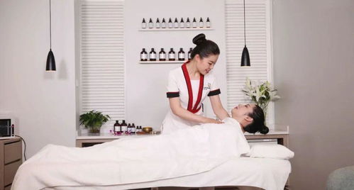 美容師國家職業(yè)等級認定教材拍攝圓滿收官 技術標準與服務規(guī)范的視覺詮釋