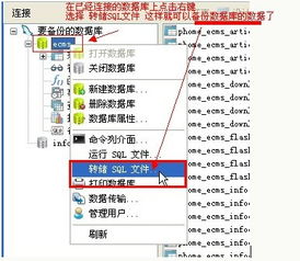 Navicat 高效、強(qiáng)大的跨平臺(tái)數(shù)據(jù)庫(kù)管理工具