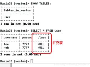數(shù)據(jù)庫(kù)管理的精髓 從架構(gòu)到日常運(yùn)維的全面解析