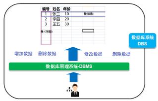 從事務(wù)到數(shù)據(jù)湖 珠峰架構(gòu)師的數(shù)據(jù)庫(kù)管理與進(jìn)階之路